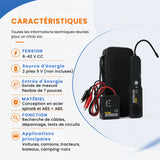 Analyseur de circuits